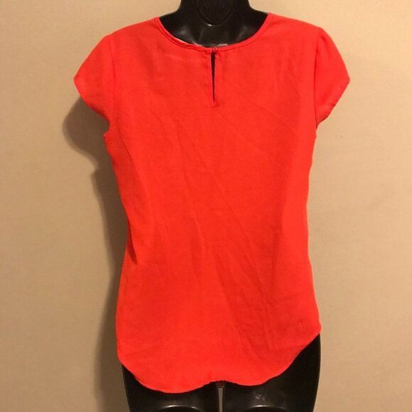 Pink Rose Red Scoop Neck Short Sleeve Blouse - Picture 5 of 7